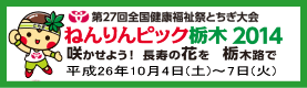 ねんりんピック栃木2014公式サイト